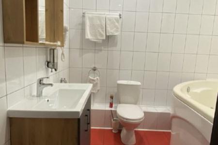 Джакузи в номере Люкс в отеле Плюс на Большевиков