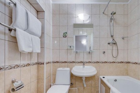 Ванная комната в номере Эконом отеля Полюстрово
